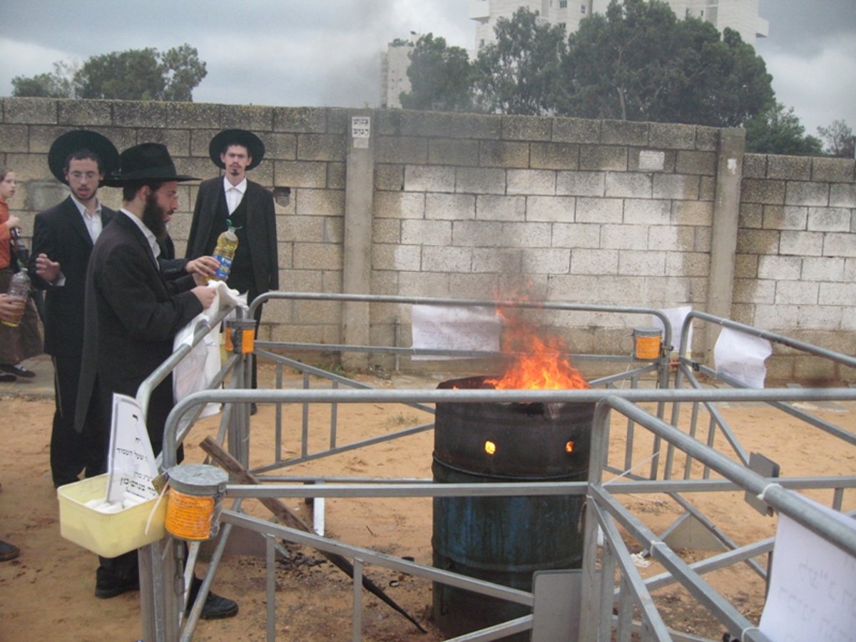 אלפים בציון ה'אבי עזרי' • גלריה