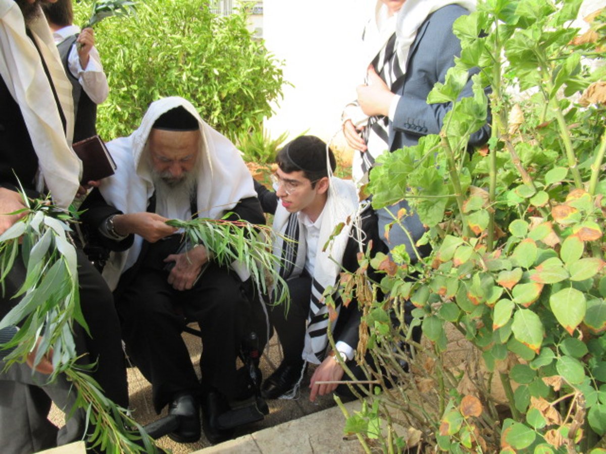 מראות מחייו של הגאון רבי אליהו ציון סופר זצוק"ל 