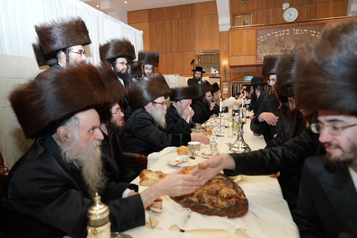 חתונת תולדות צבי דספינקא - פאלטישאן