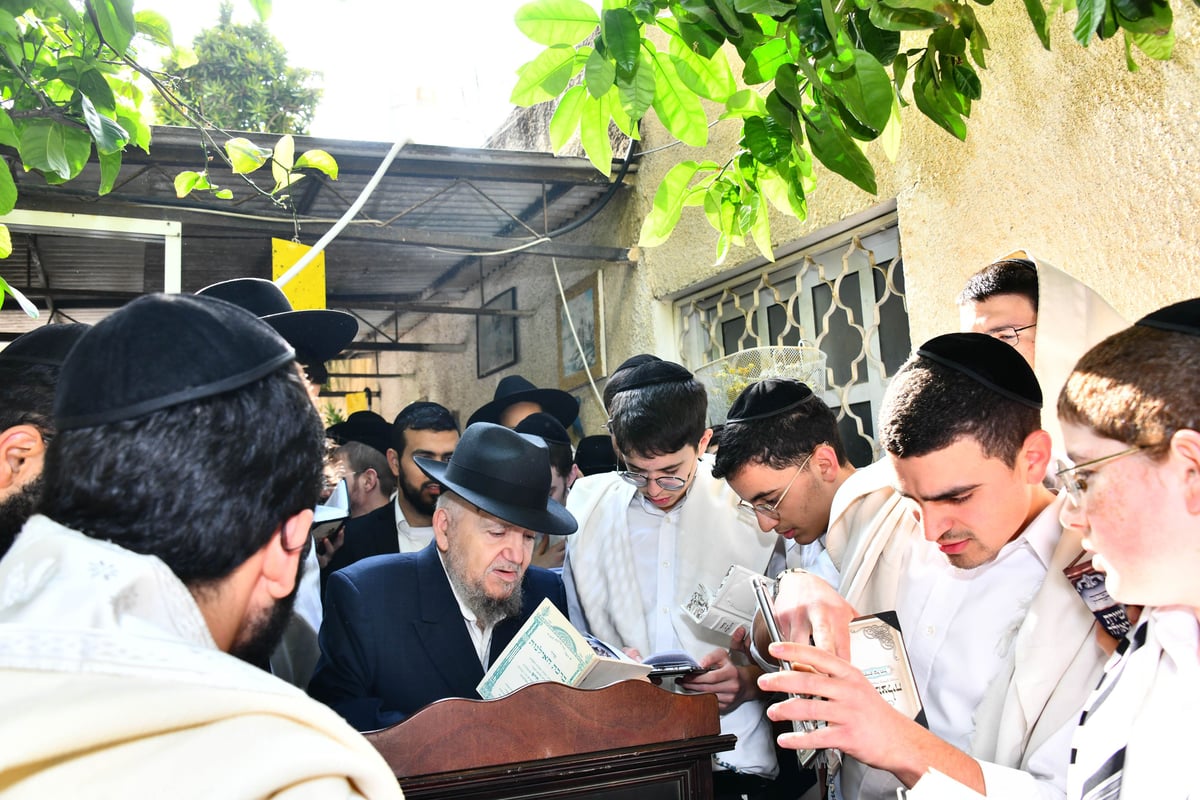 הגר"מ מאזוז בברכת האילנות