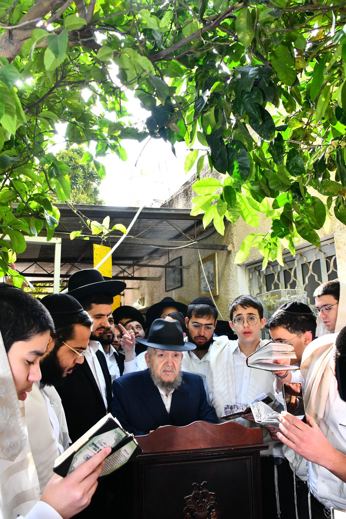 הגר"מ מאזוז בברכת האילנות