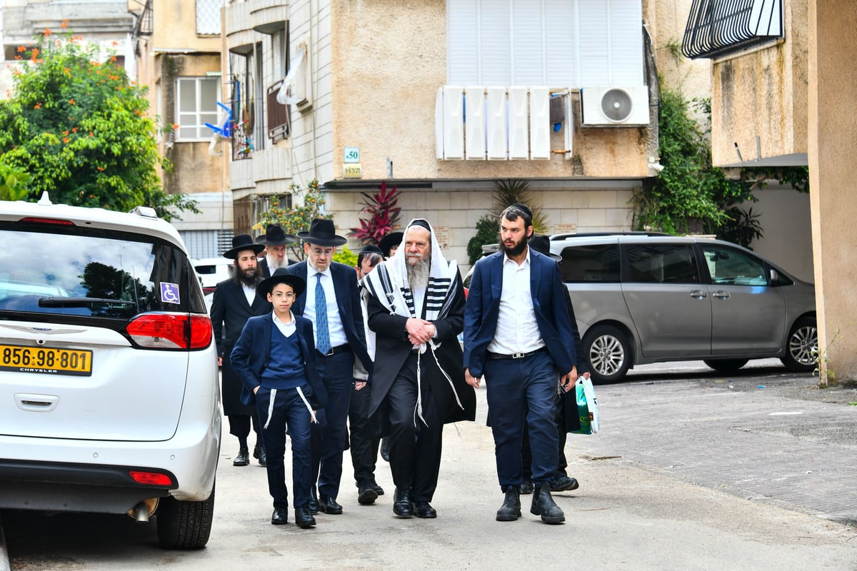 הגרמ"ש אדלשטיין בברכת האילנות 