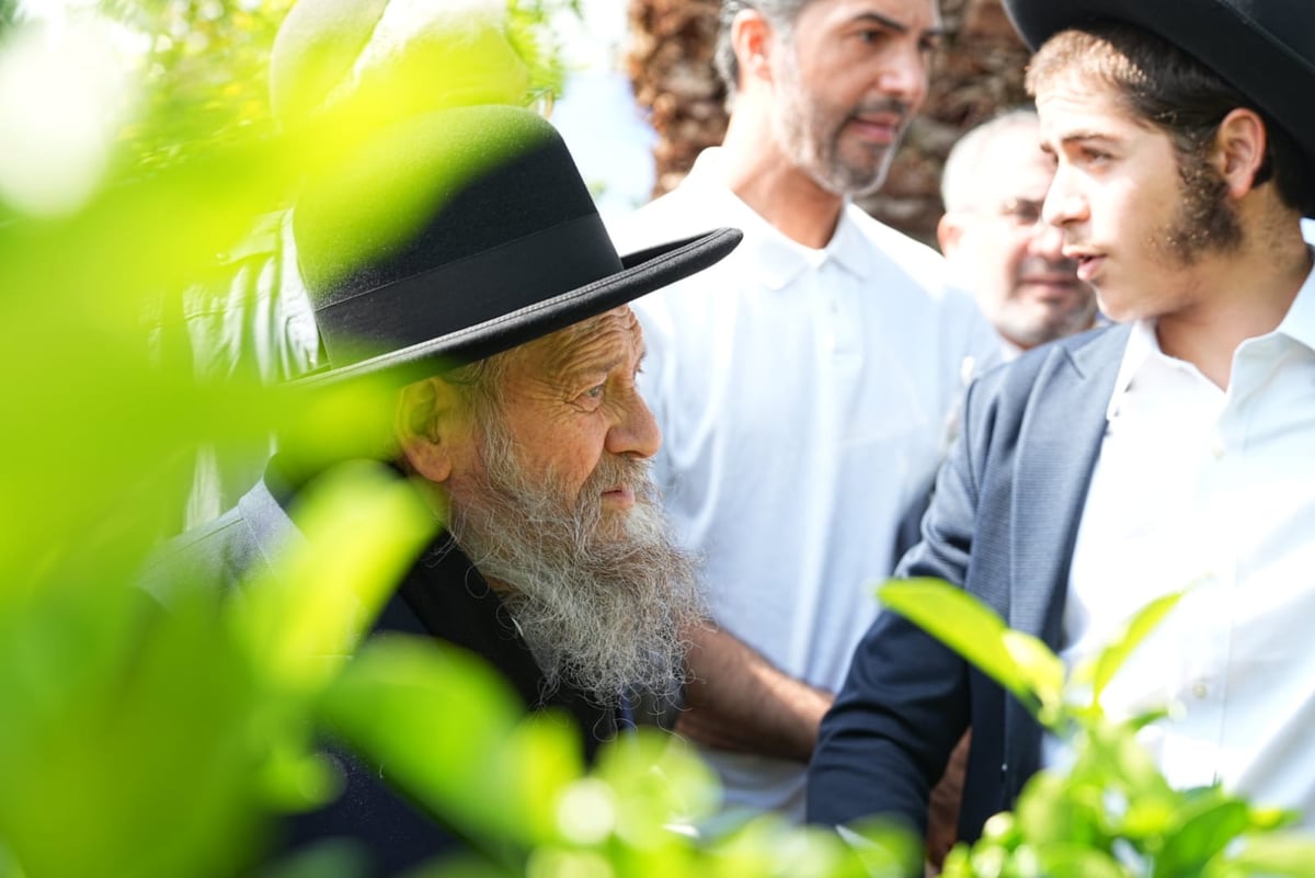 קידוש ה' בגן הציבורי ברמת גן - מאות התאספו לברכת האילנות 