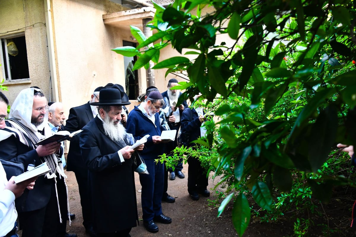 הגר"נ בן שמעון