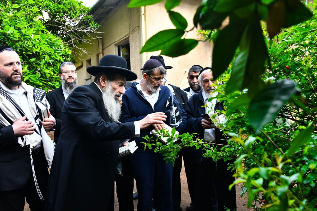 הגר"נ בן שמעון