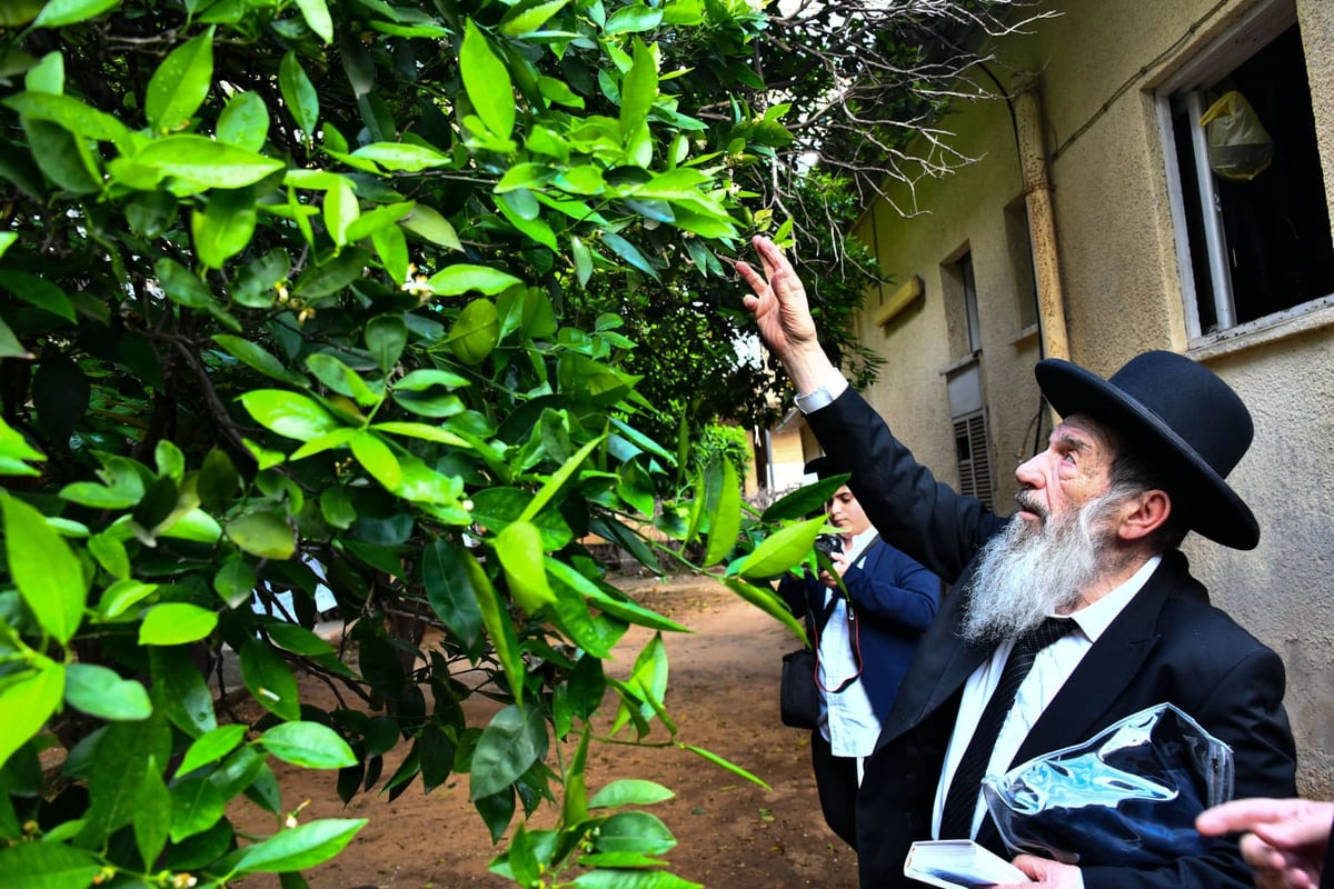 הגר"נ בן שמעון