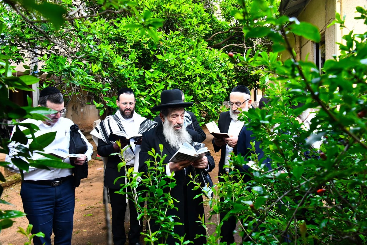 הגר"נ בן שמעון