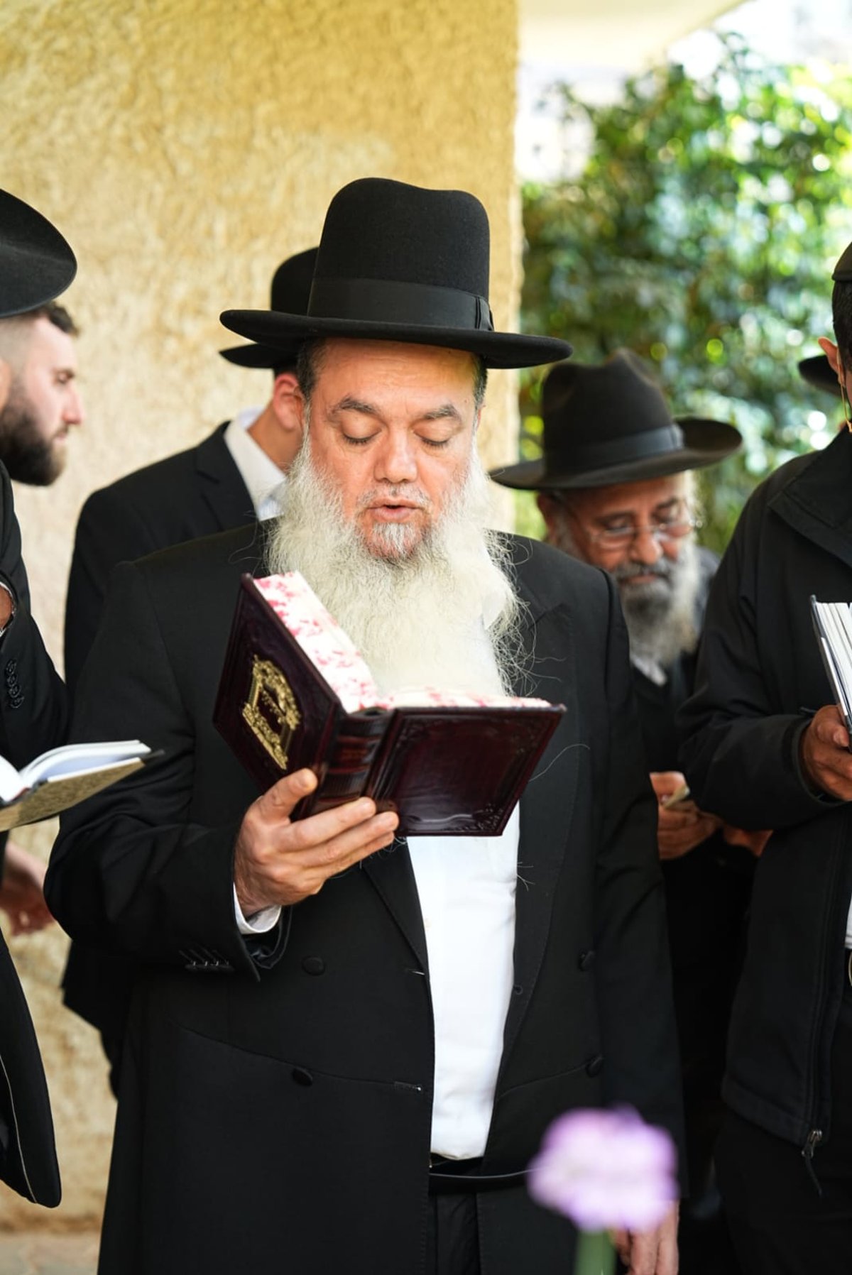 מזכה הרבים בירך ברכת האילנות עם תלמידיו • תיעוד