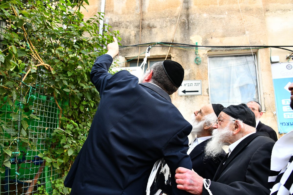 הגר"מ גריינמן בברכת האילנות 