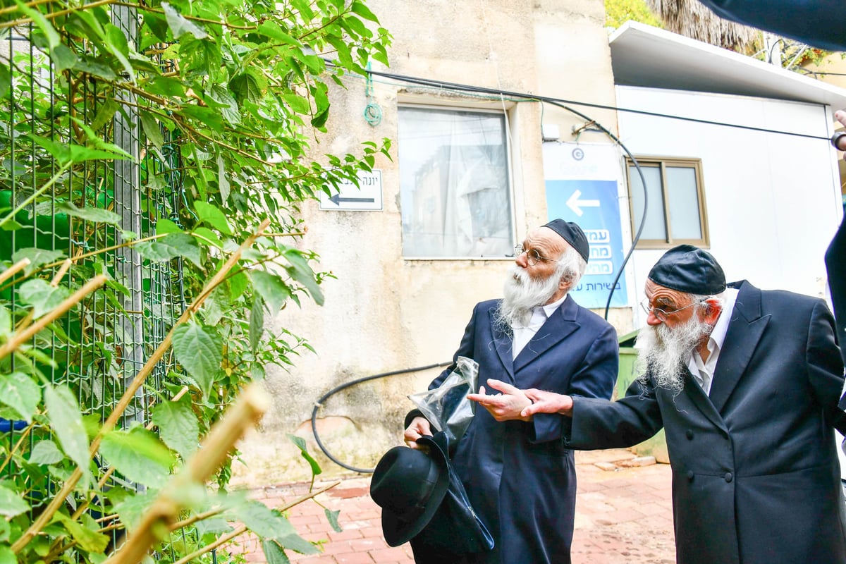 הגר"מ גריינמן בברכת האילנות 