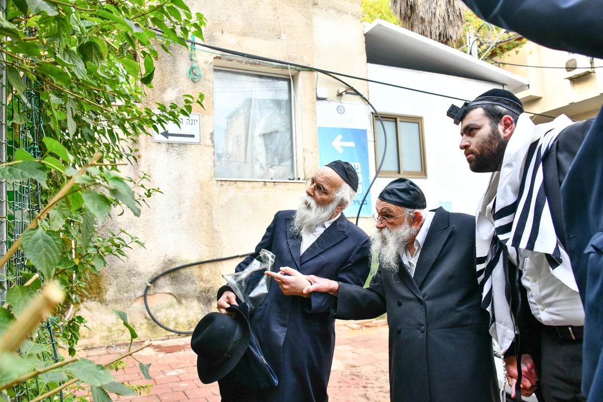 הגר"מ גריינמן בברכת האילנות 