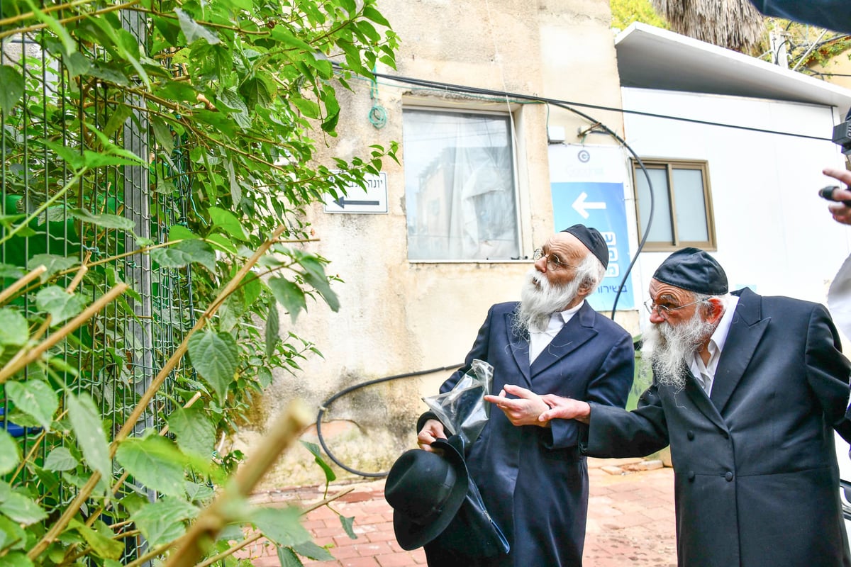 הגר"מ גריינמן בברכת האילנות 