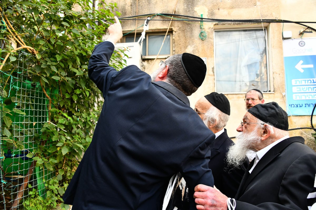 הגר"מ גריינמן בברכת האילנות 