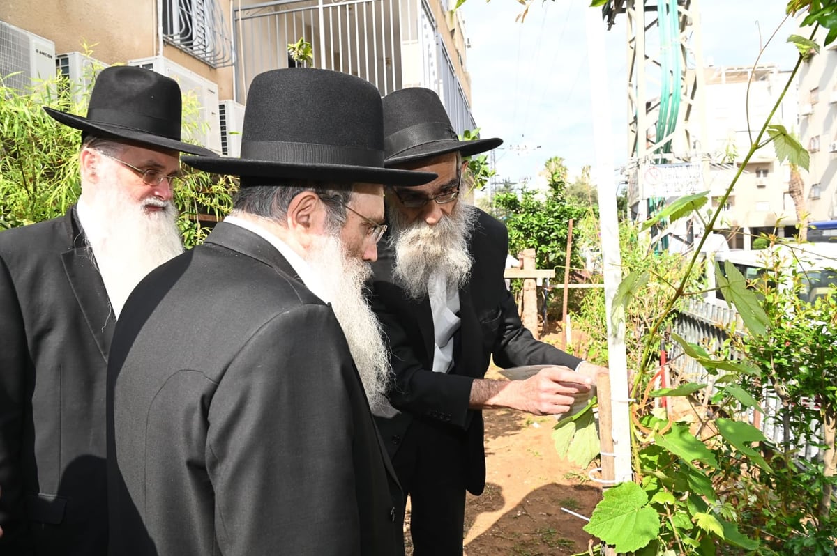 הגר" ששטינמן בברכת האילנות