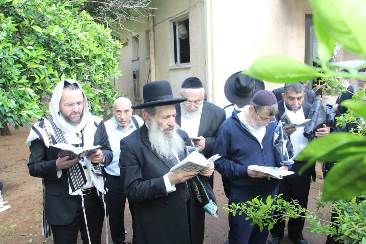 חכם נסים בן שמעון תועד מברך ברכת האילנות ברוב עם  