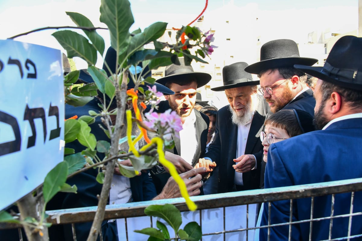 הגרמ"ה הירש בברכת האילנות