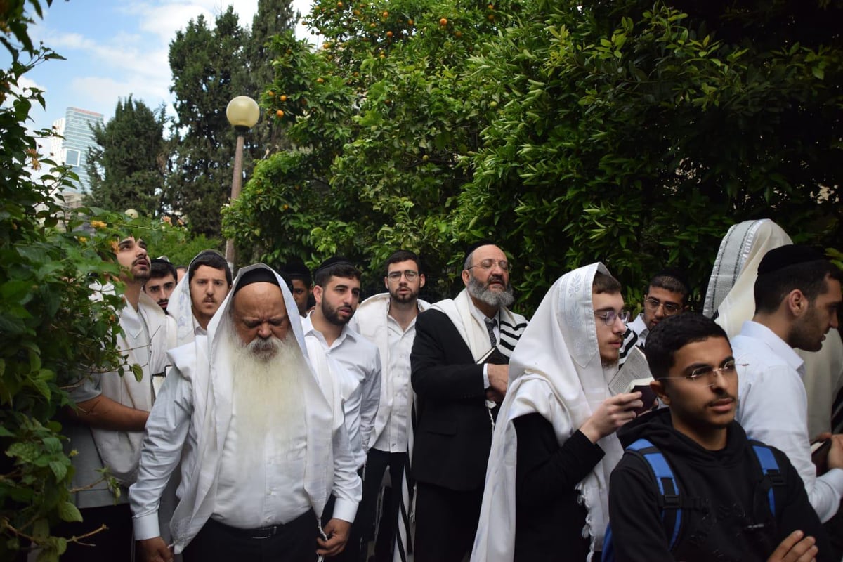 האחים מזכי הרבים בברכת האילנות בלב היער | תיעוד