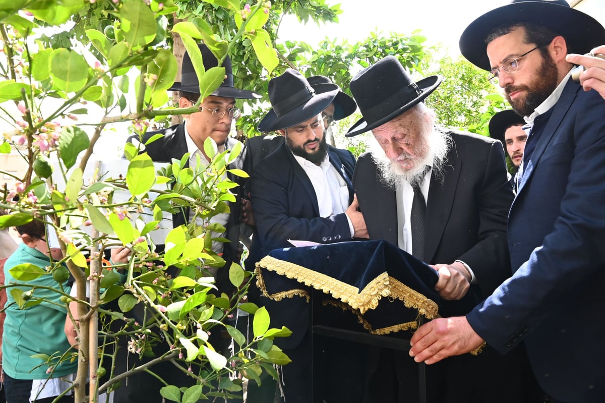 הגרב"ד פוברסקי בברכת האילנות