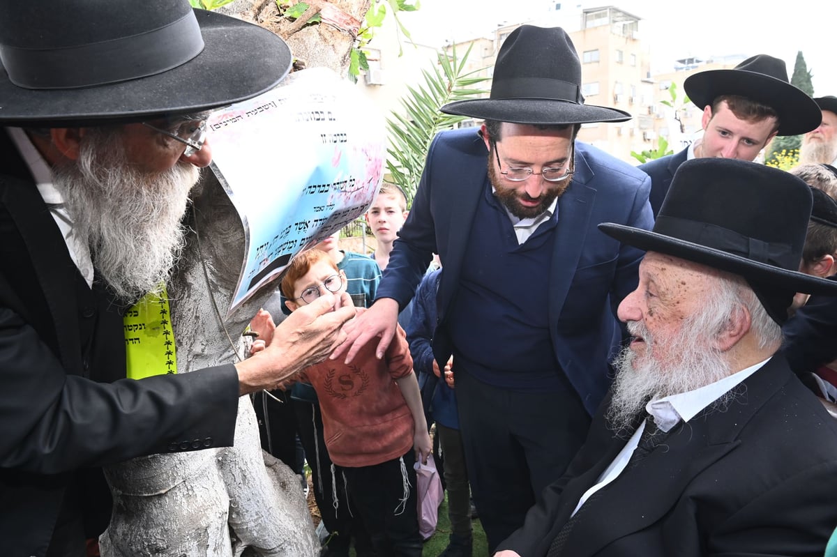 הגרב"ד פוברסקי בברכת האילנות