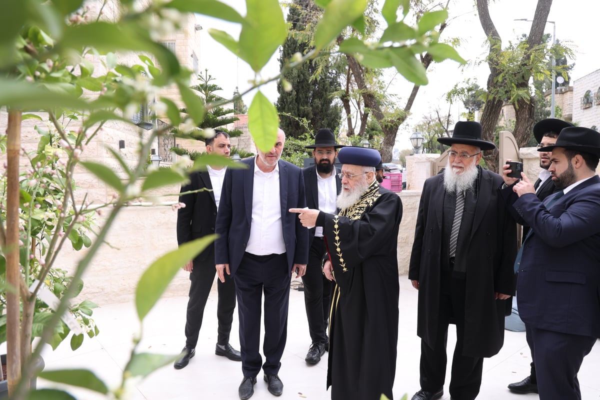 הראשל"צ בברכת האילנות 