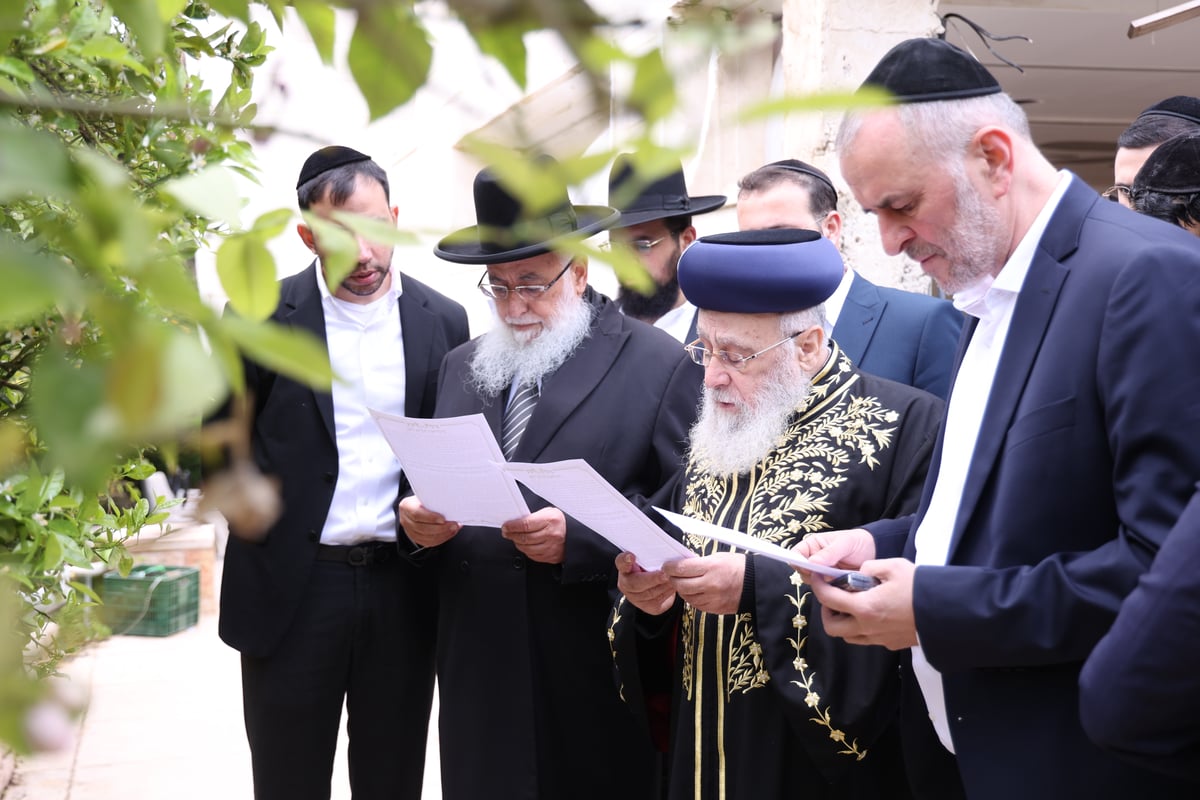 הראשל"צ בברכת האילנות 