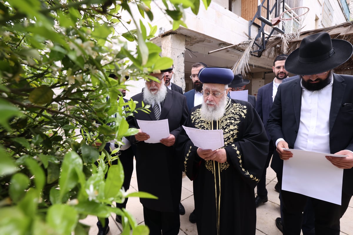 הראשל"צ בברכת האילנות 