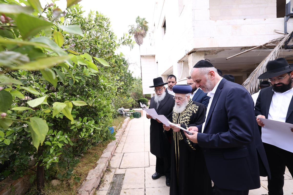 הראשל"צ בברכת האילנות 