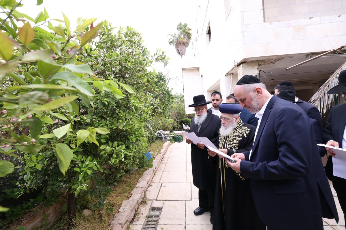 הראשל"צ בברכת האילנות 