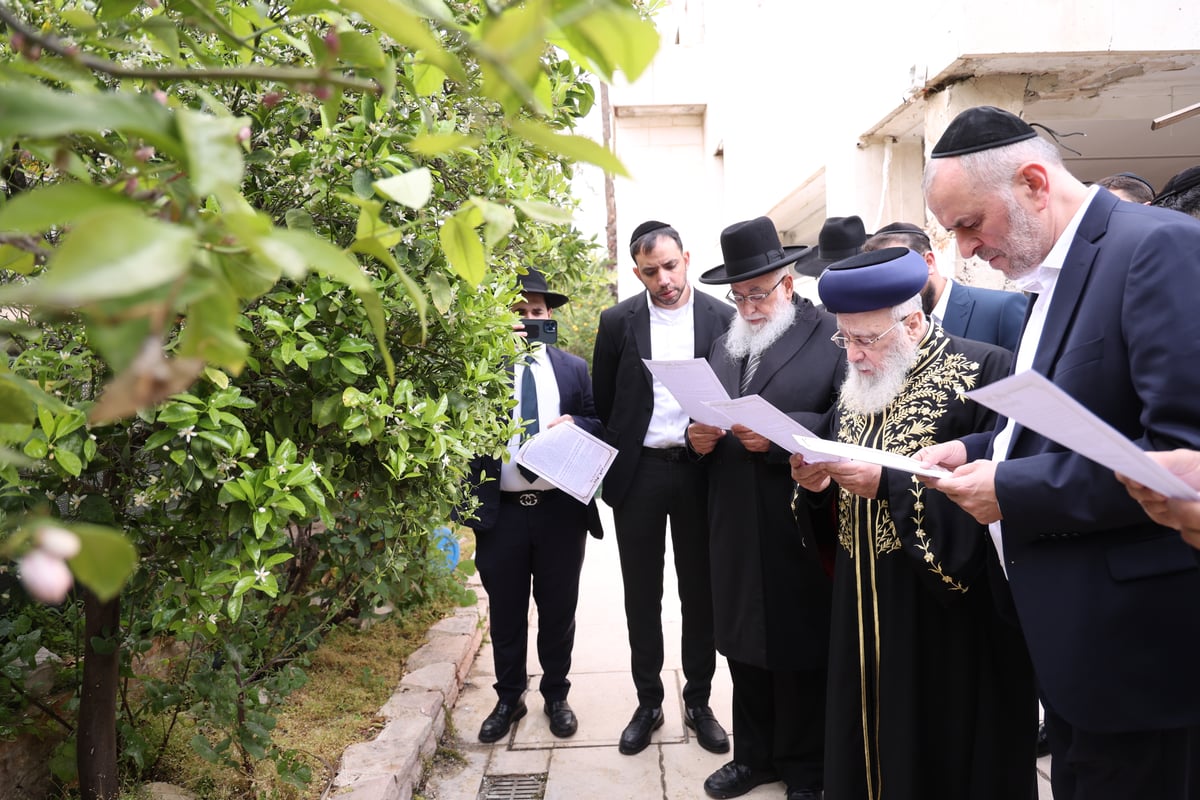 הראשל"צ בברכת האילנות 