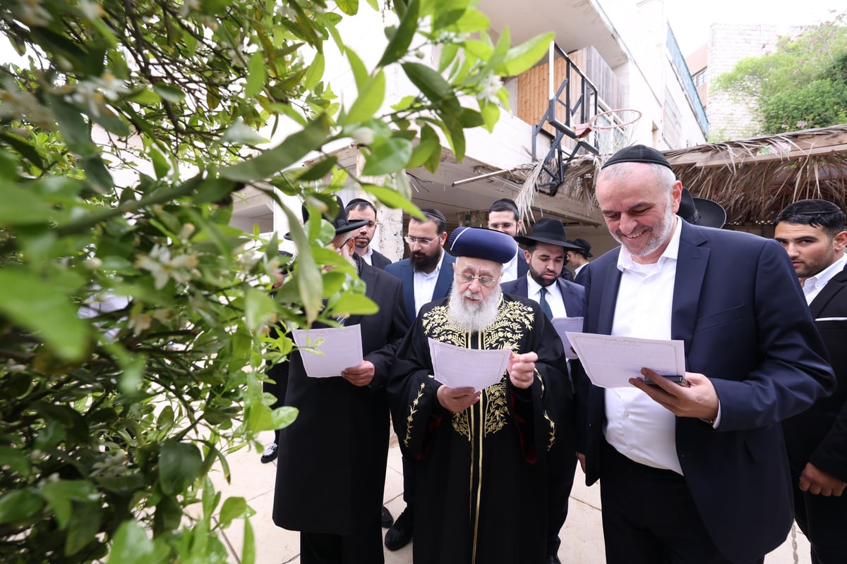 הראשל"צ בברכת האילנות 