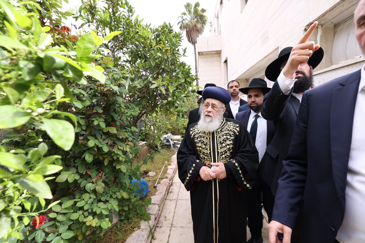 הראשל"צ בברכת האילנות 