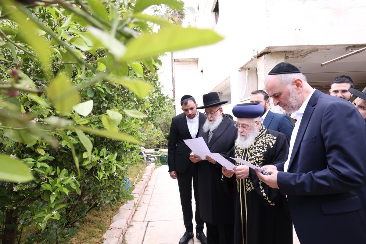 הראשל"צ בברכת האילנות 