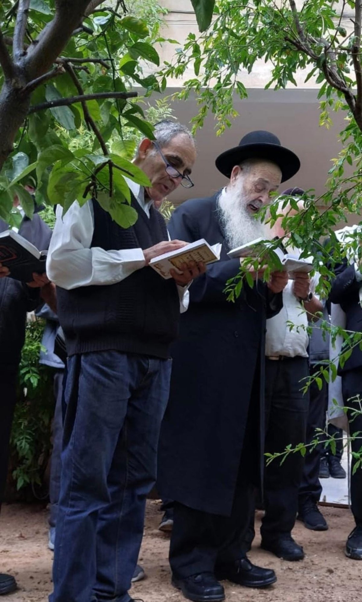 זופניק בכיכר • כל התמונות, הנייעס והחשיפות של השבוע