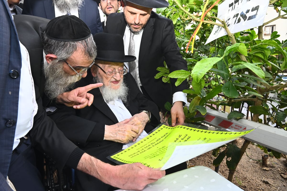 הגרמ"צ ברגמן בברכת האילנות