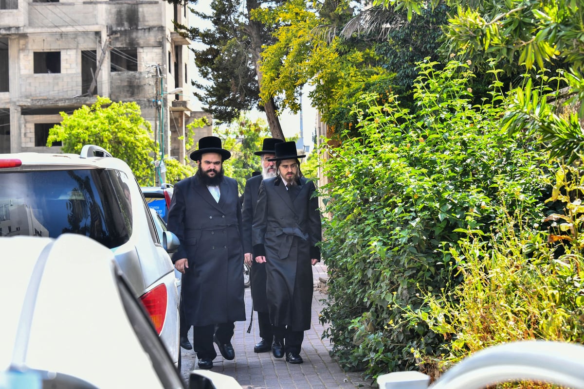 האדמו"ר מסאדיגורה בברכת האילנות 