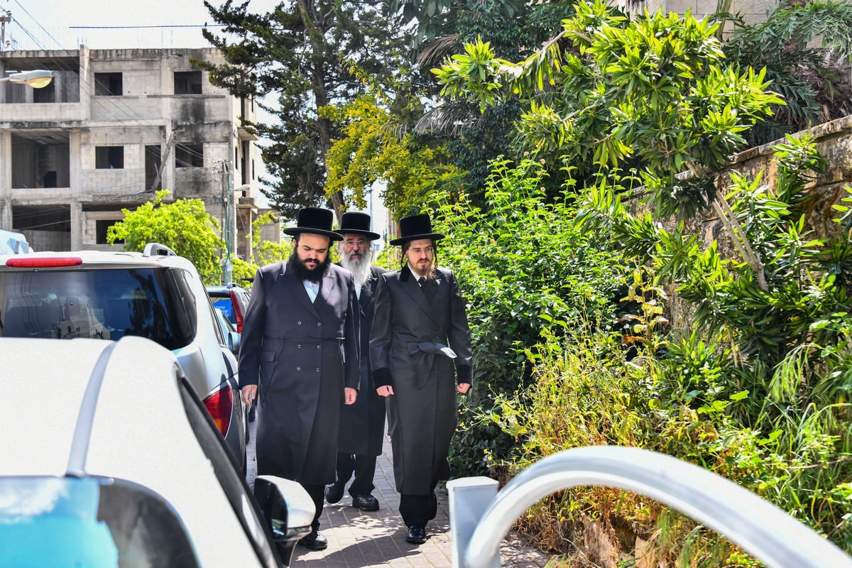 האדמו"ר מסאדיגורה בברכת האילנות 