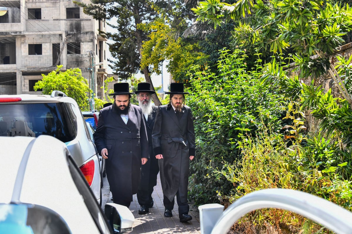 האדמו"ר מסאדיגורה בברכת האילנות 