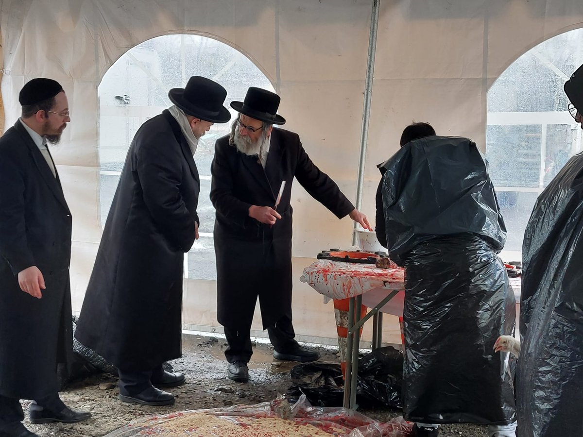 האדמו"ר מסקווירא מאנסי במשחטה בחצר בית מדרשו 