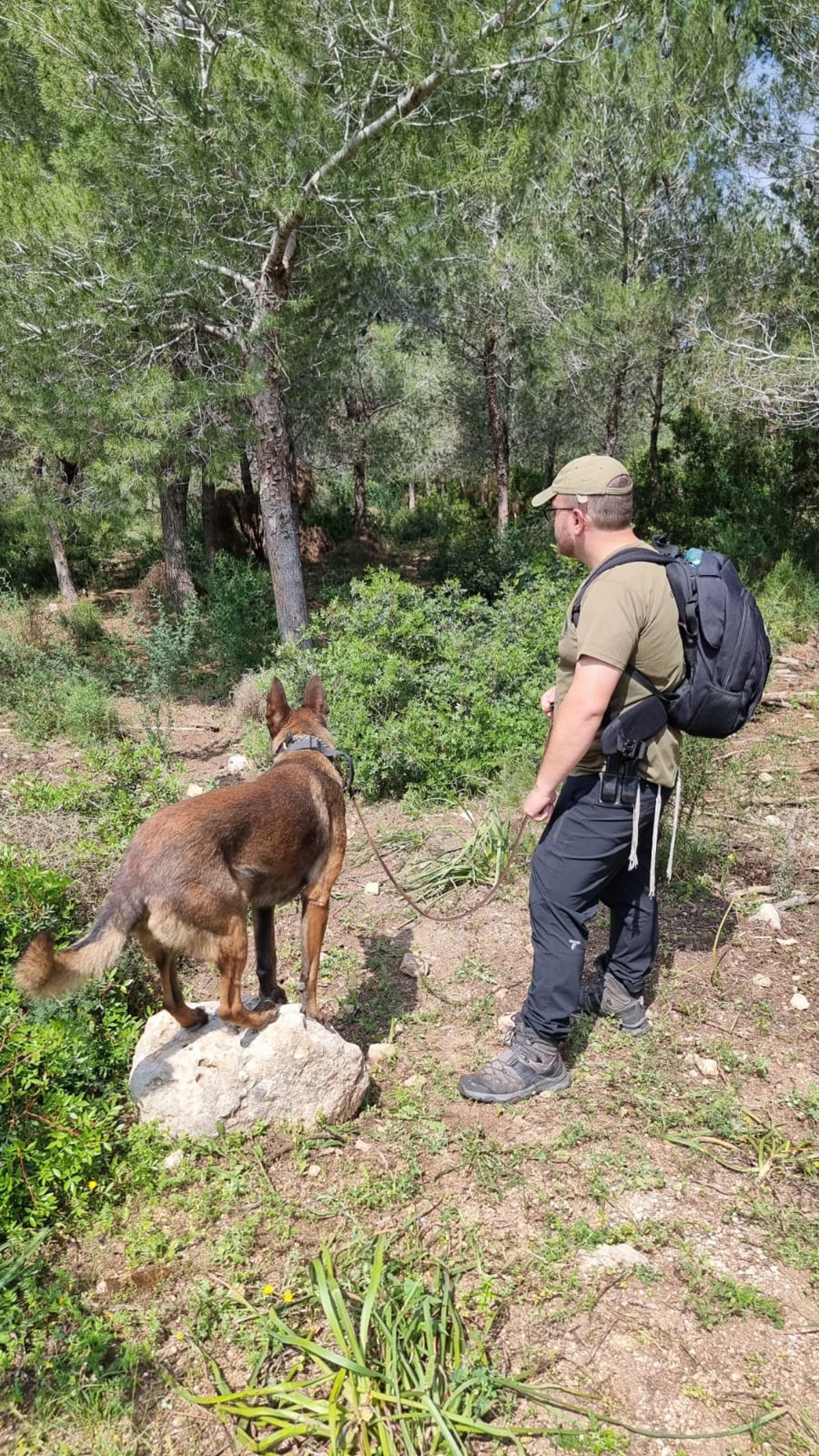 החיפושים אחר איתמר