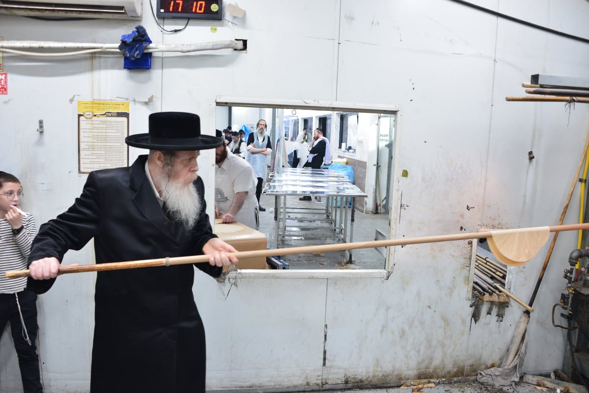 האדמו"ר משומרי אמונים אשדוד באפיית מצות