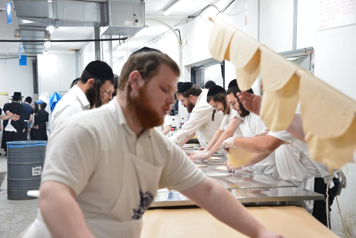 האדמו"ר משומרי אמונים אשדוד באפיית מצות