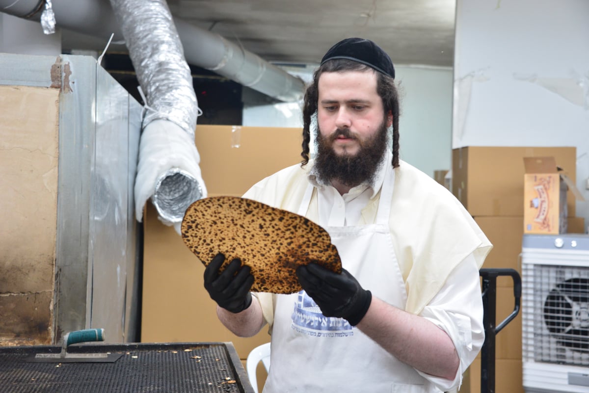 האדמו"ר משומרי אמונים אשדוד באפיית מצות