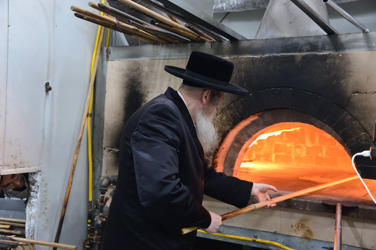 האדמו"ר משומרי אמונים אשדוד באפיית מצות