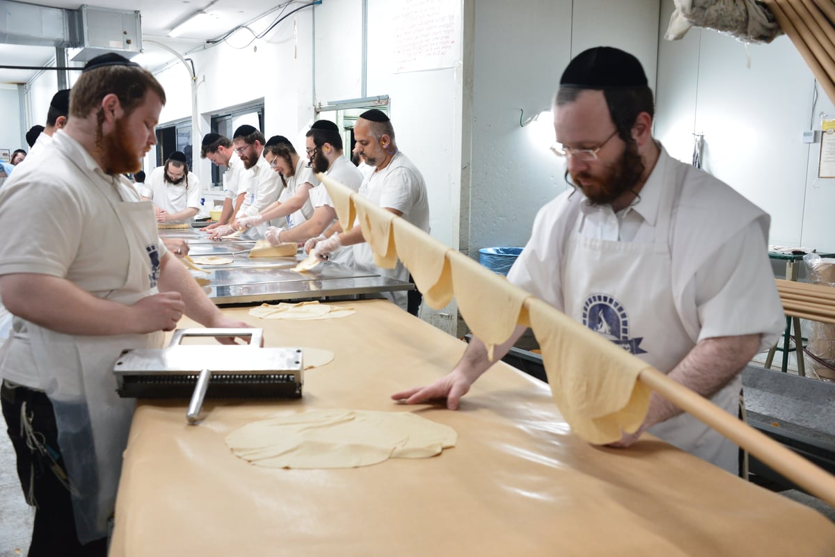 האדמו"ר משומרי אמונים אשדוד באפיית מצות