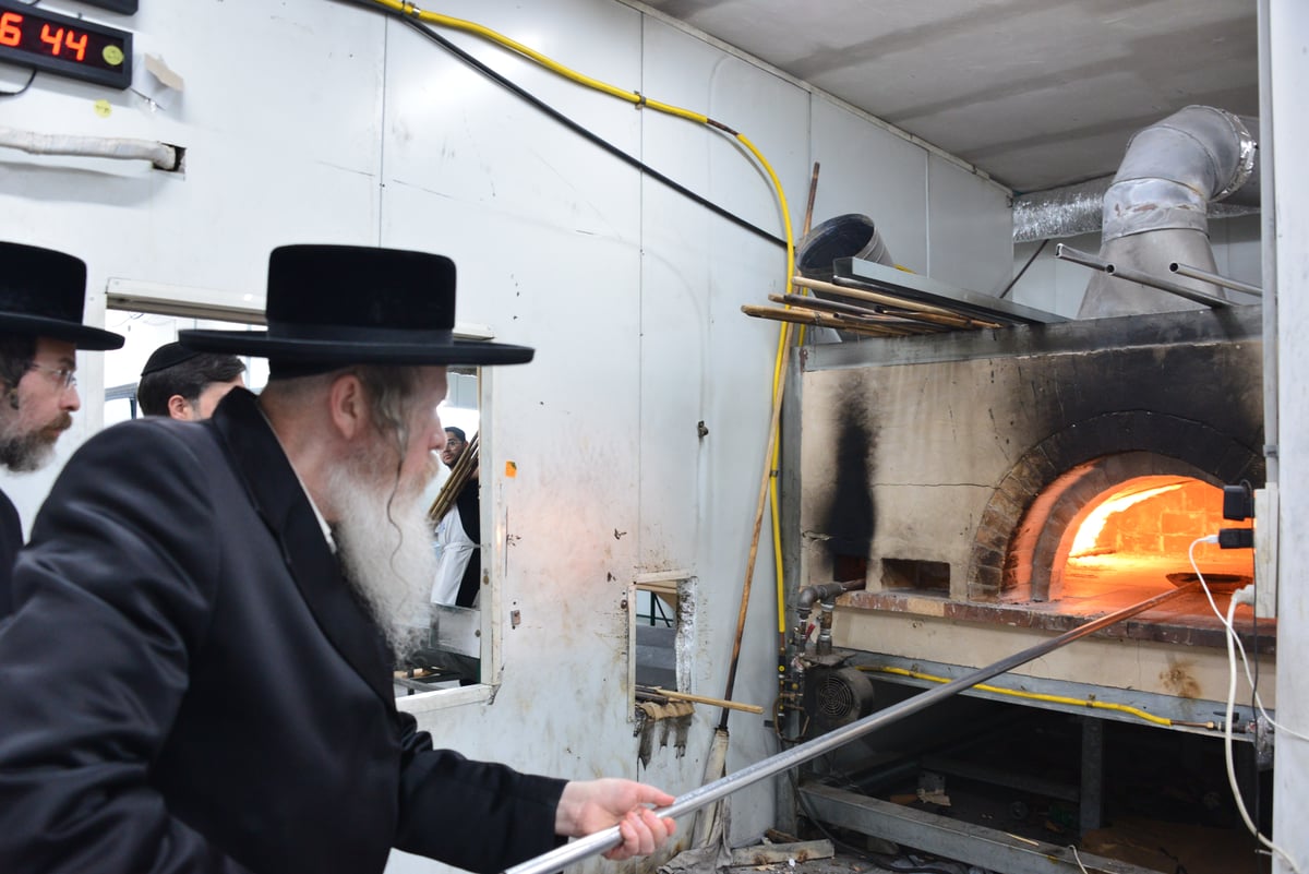 האדמו"ר משומרי אמונים אשדוד באפיית מצות