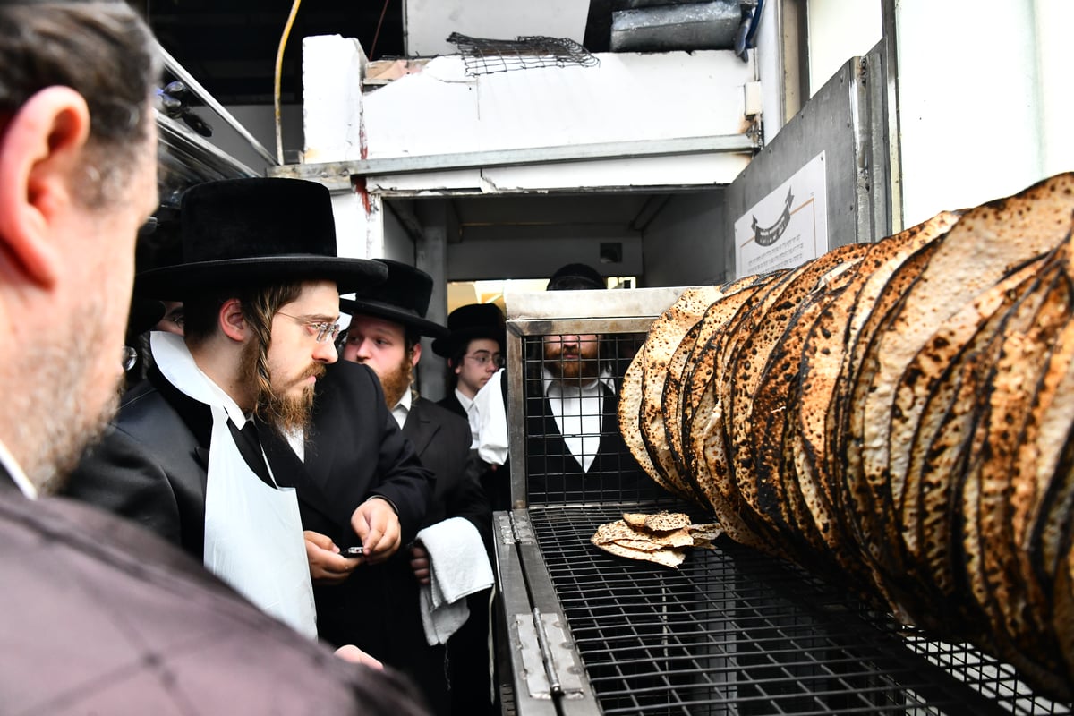 האדמו"ר מסאדיגורה באפיית המצות 