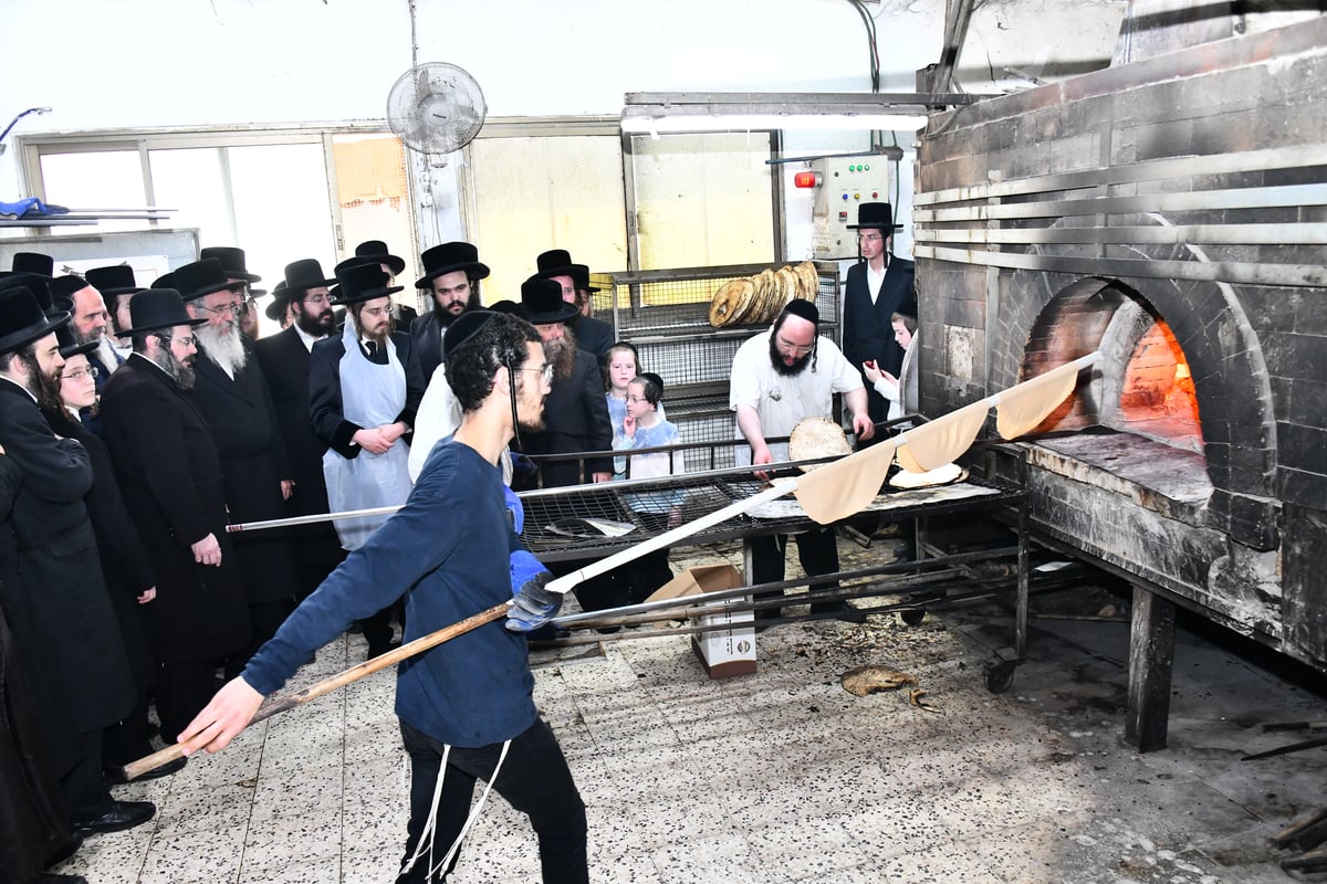 האדמו"ר מסאדיגורה באפיית המצות 