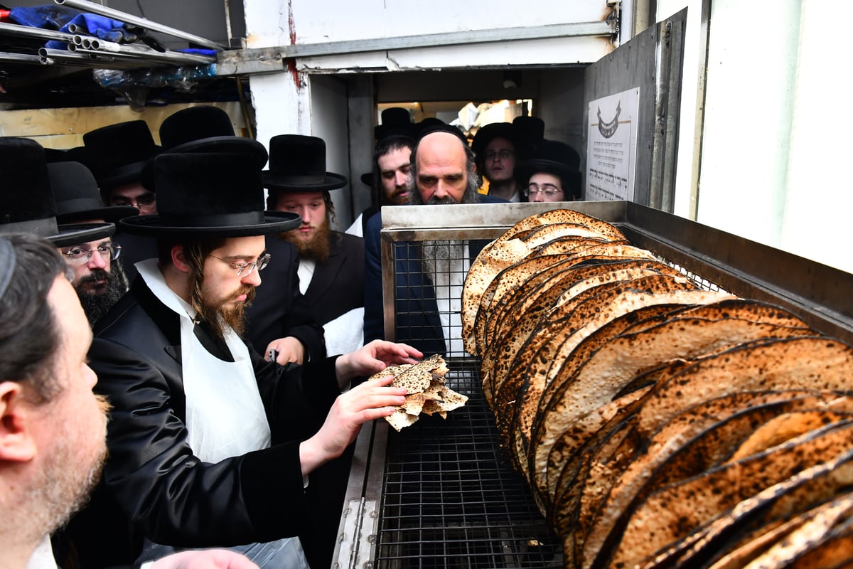 האדמו"ר מסאדיגורה באפיית המצות 