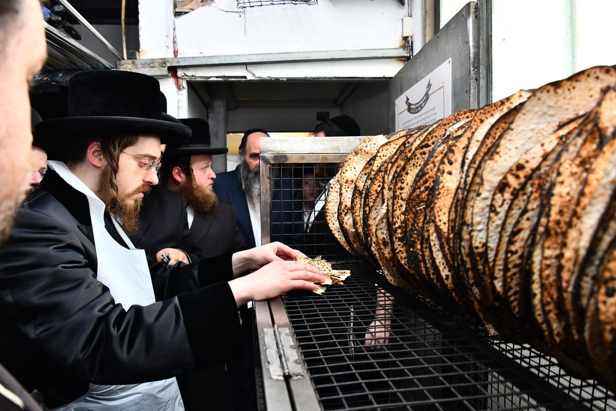 האדמו"ר מסאדיגורה באפיית המצות 