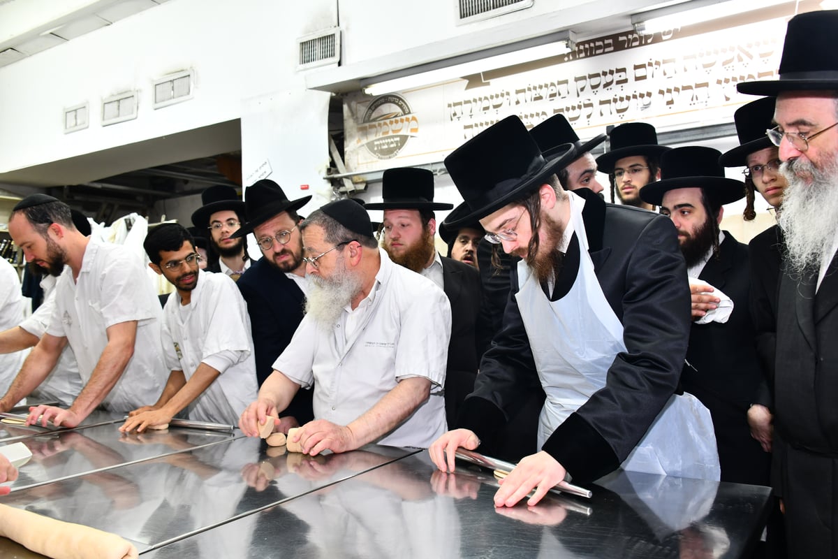 האדמו"ר מסאדיגורה באפיית המצות 